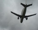 Beluga transport plane